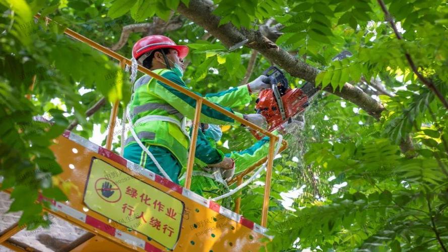 藏式园林景观设计方案