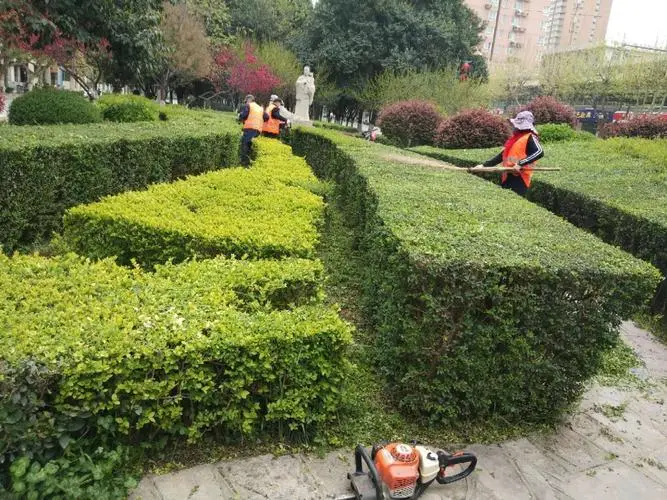 园林绿化管理亟待改善，专家建言助力城市美丽建设！