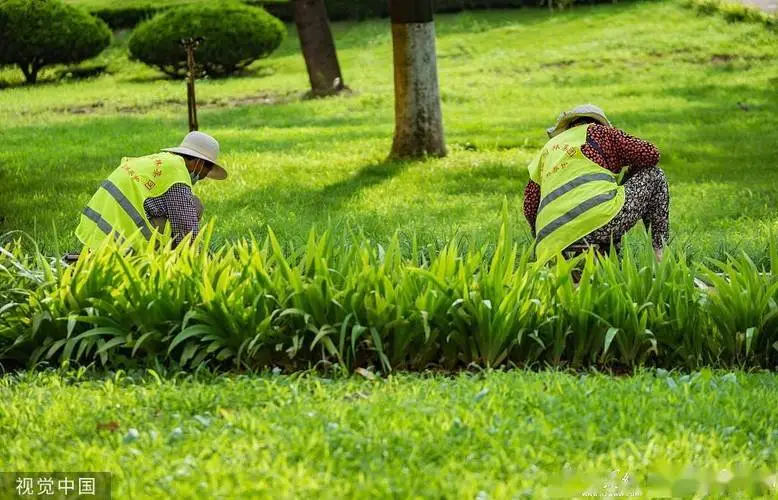 现代风格园林景观设计